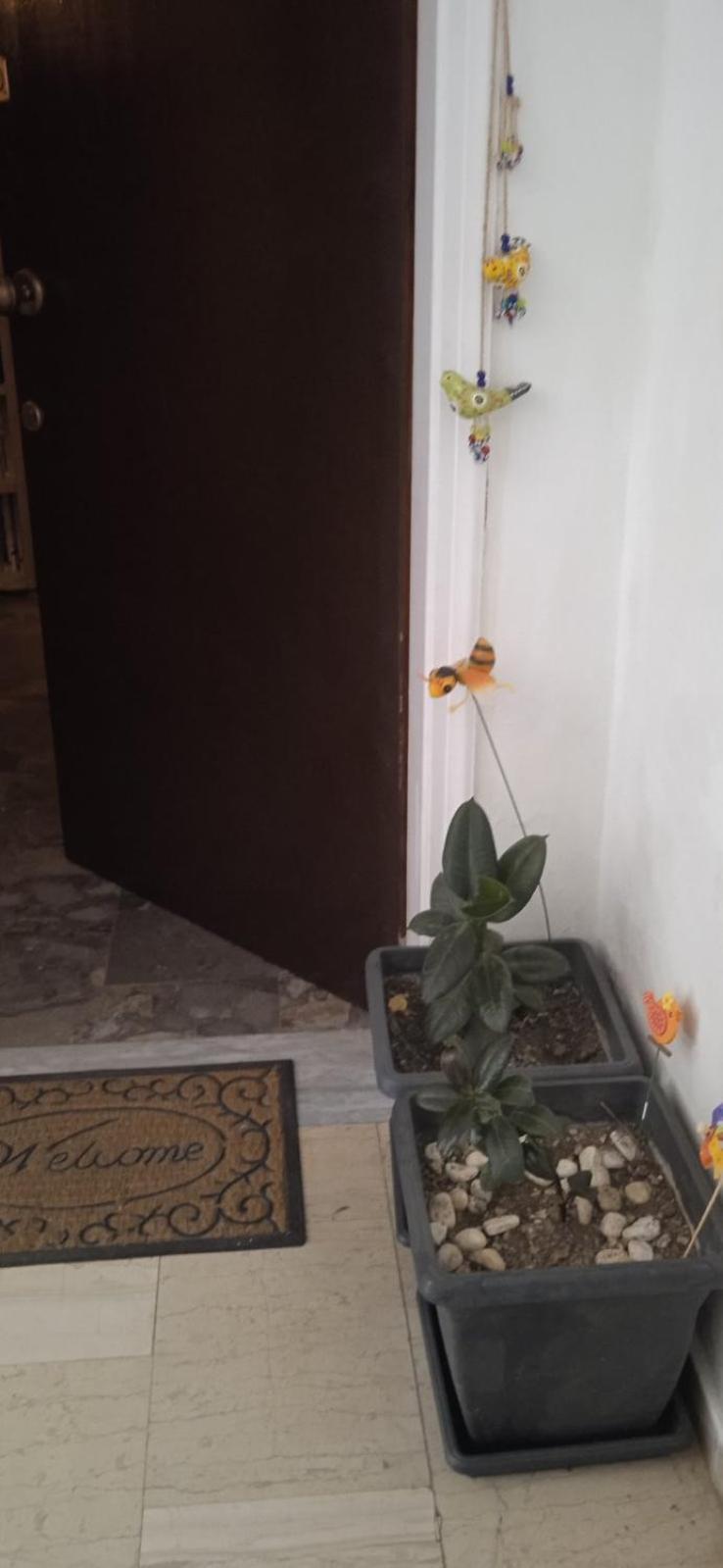 Campelina Home, 2Bd Near Corfu Town Exteriér fotografie